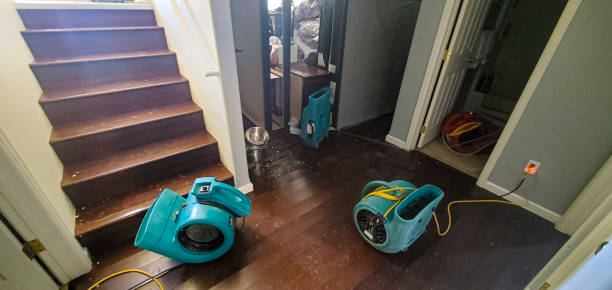 Best 24/7 water damage repair  in Banks, OR