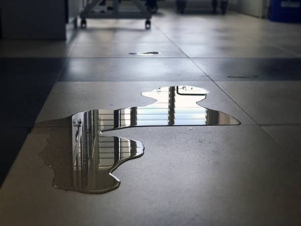 Best Water damage restoration near me  in Banks, OR