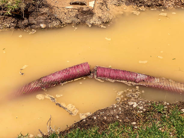 Carpet water damage restoration in Banks, OR